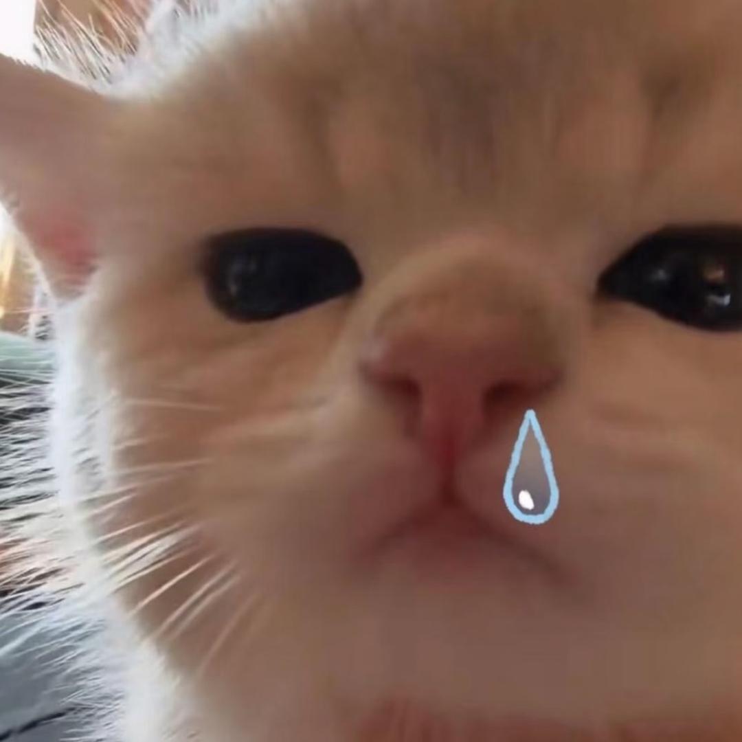 宇宙超级无敌赖床大王