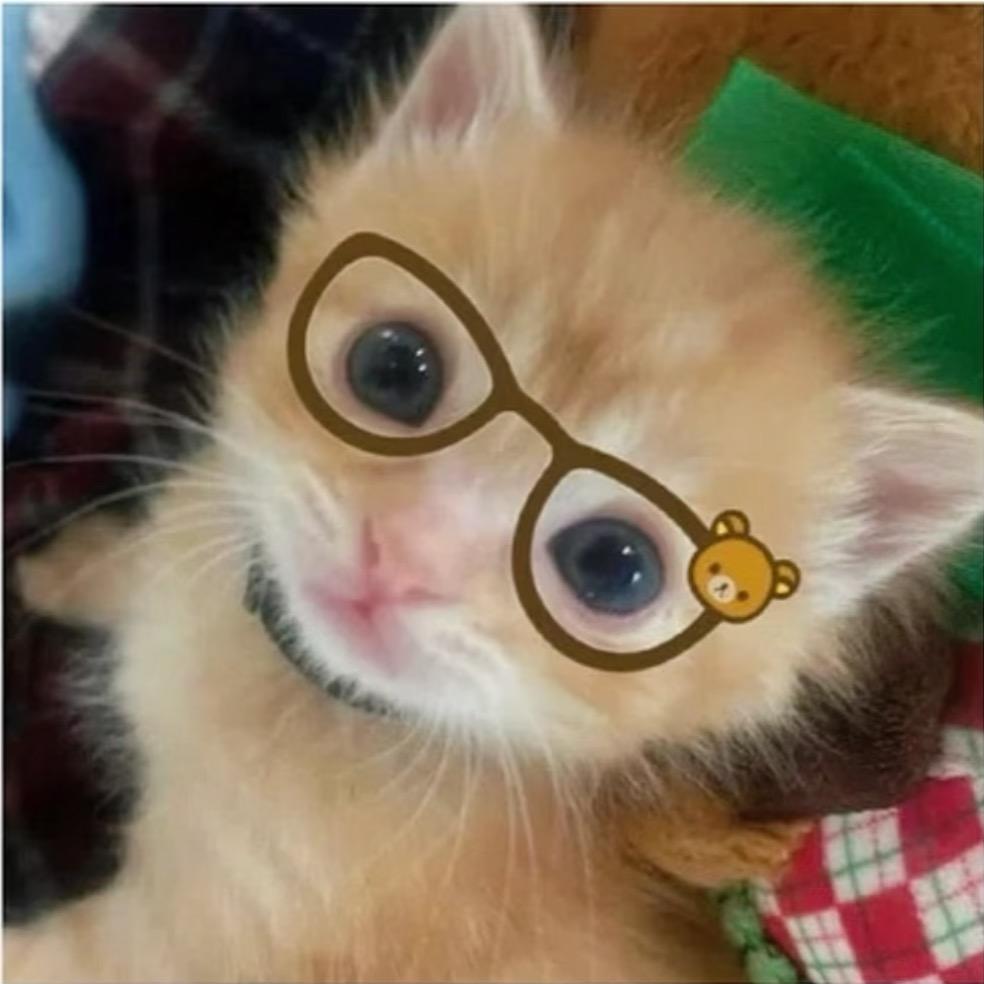 兄弟你啥意思。