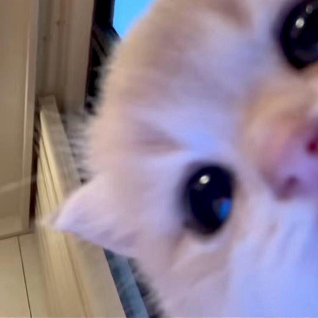 红薯饼