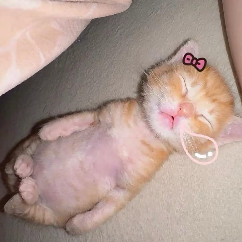 7ㅤㅤㅤㅤㅤㅤㅤㅤ       ㅤㅤㅤ