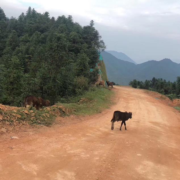 哈哈哈哈哈哈哈哈哈