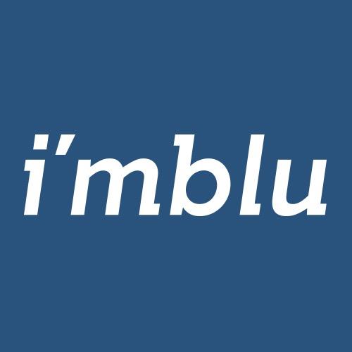 imblu箱包旗舰店