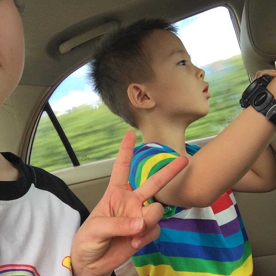 🍉巷子🥑里的🌊猫🌤