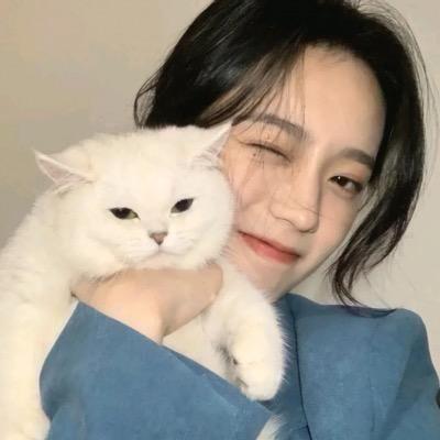 喵小姐