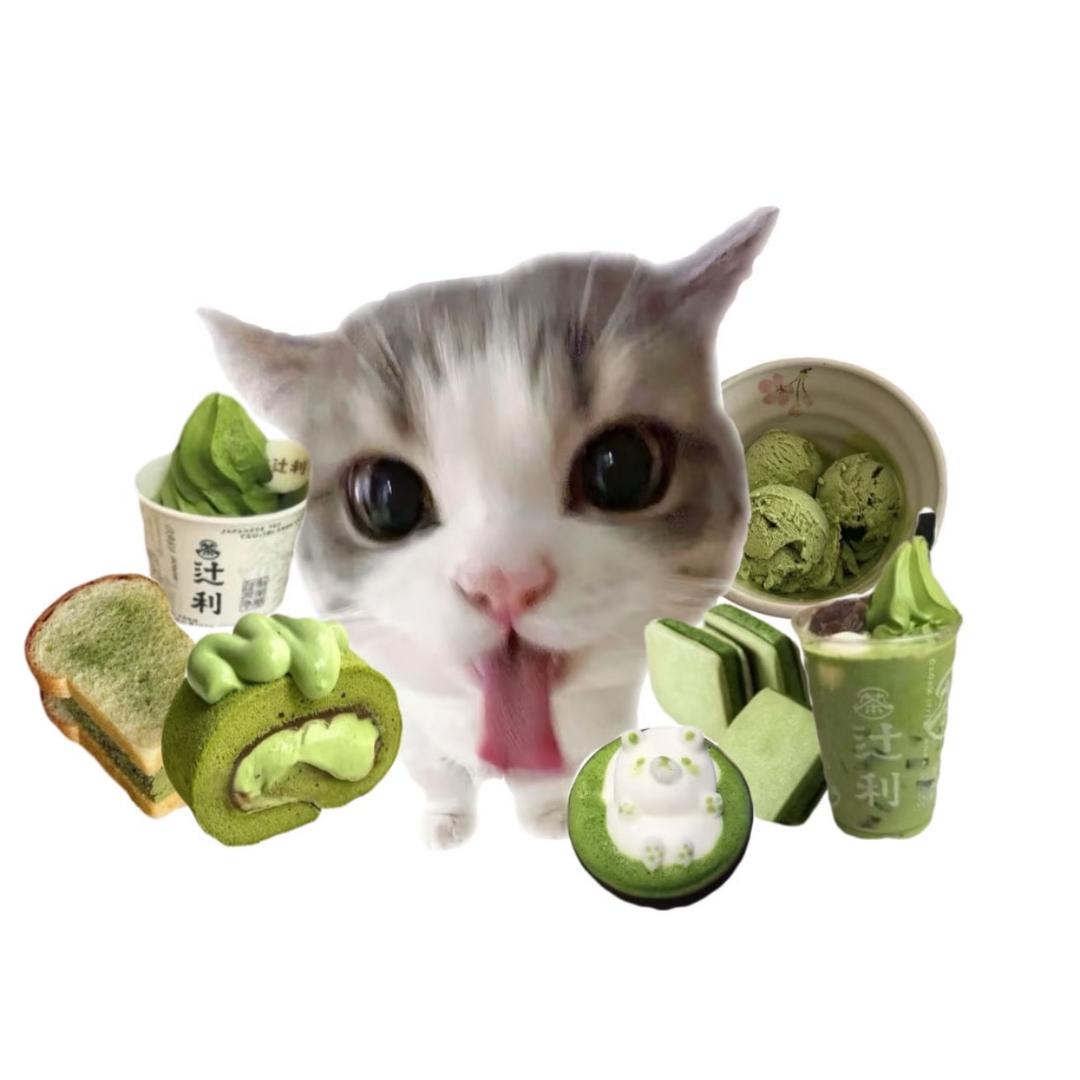 抹茶族族长