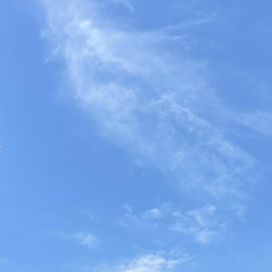 今天你好