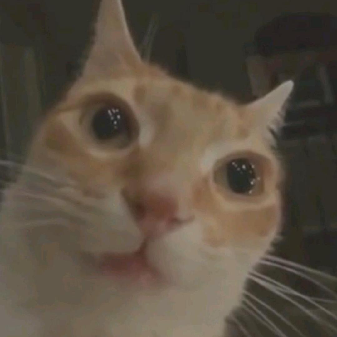 花千筑温泉酒店彭鱼晏