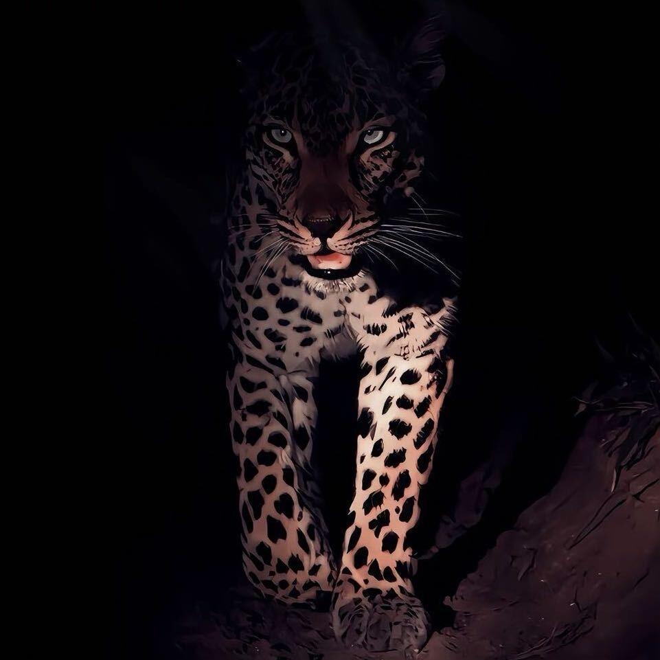 琼山音频实验室