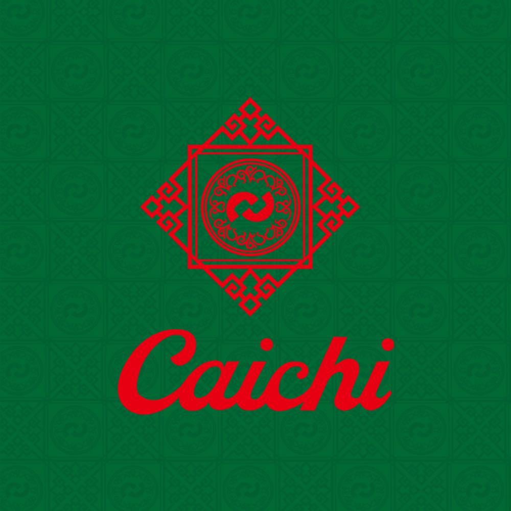 caichi彩驰鞋服专卖店