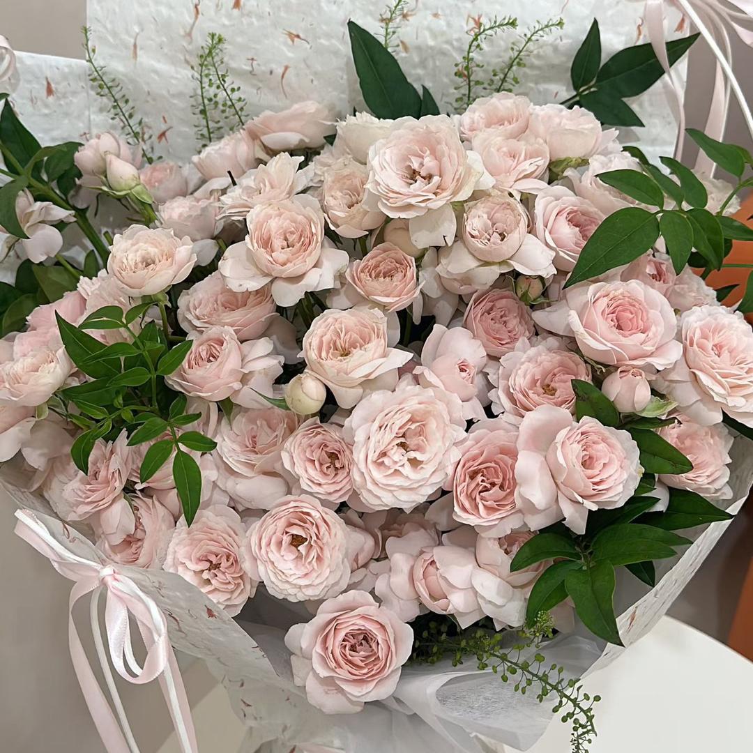 草药味儿の岁月🐾