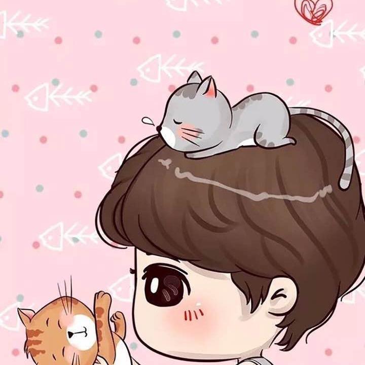 🐟梦回那年夏天