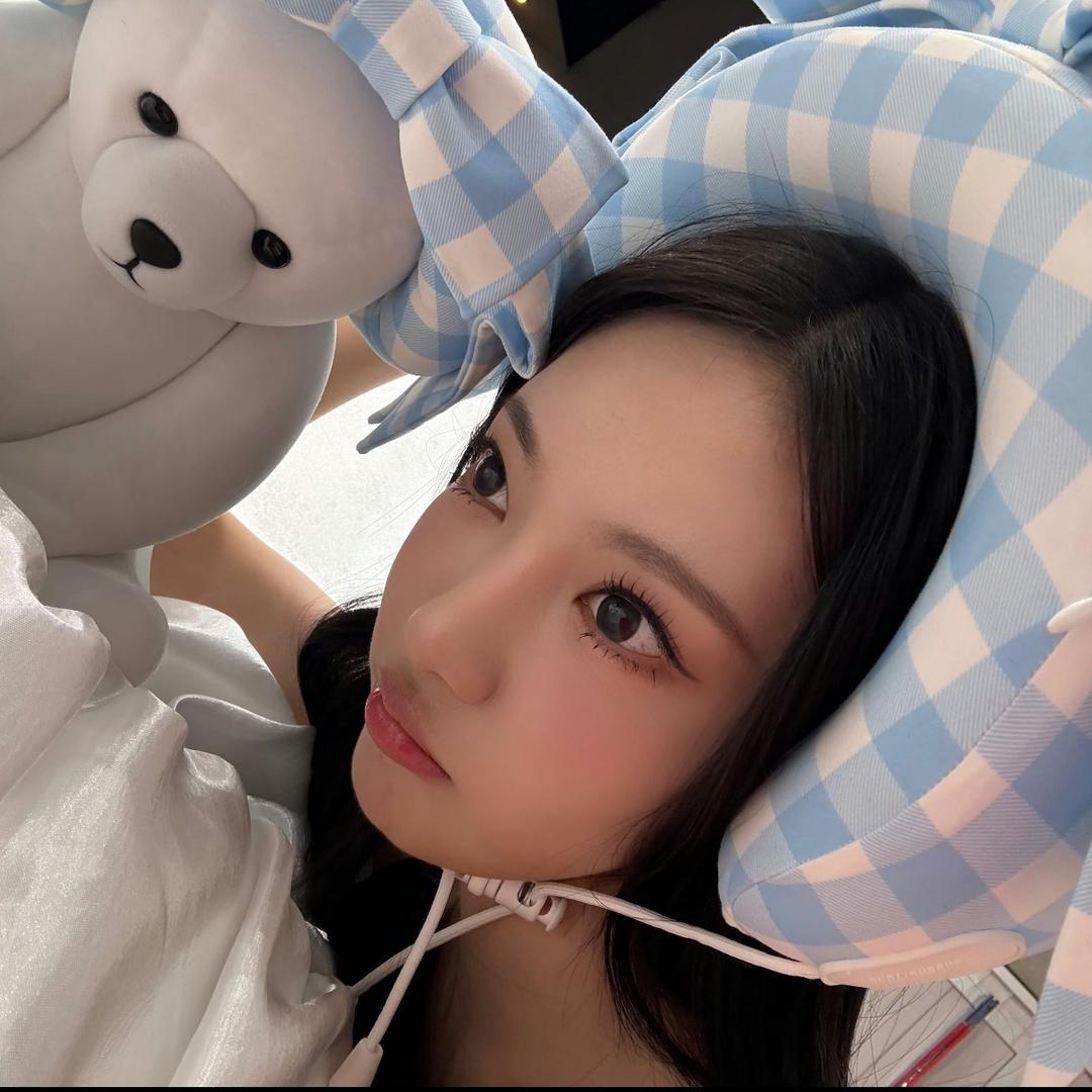芝士眠眠