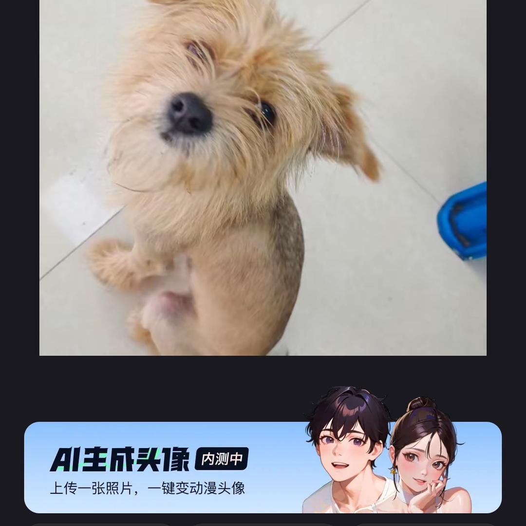 饭团一家