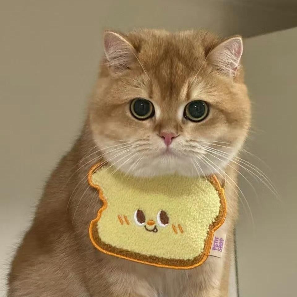 ㅤㅤㅤㅤㅤㅤㅤㅤㅤㅤㅤㅤㅤㅤㅤㅤㅤㅤㅤㅤ