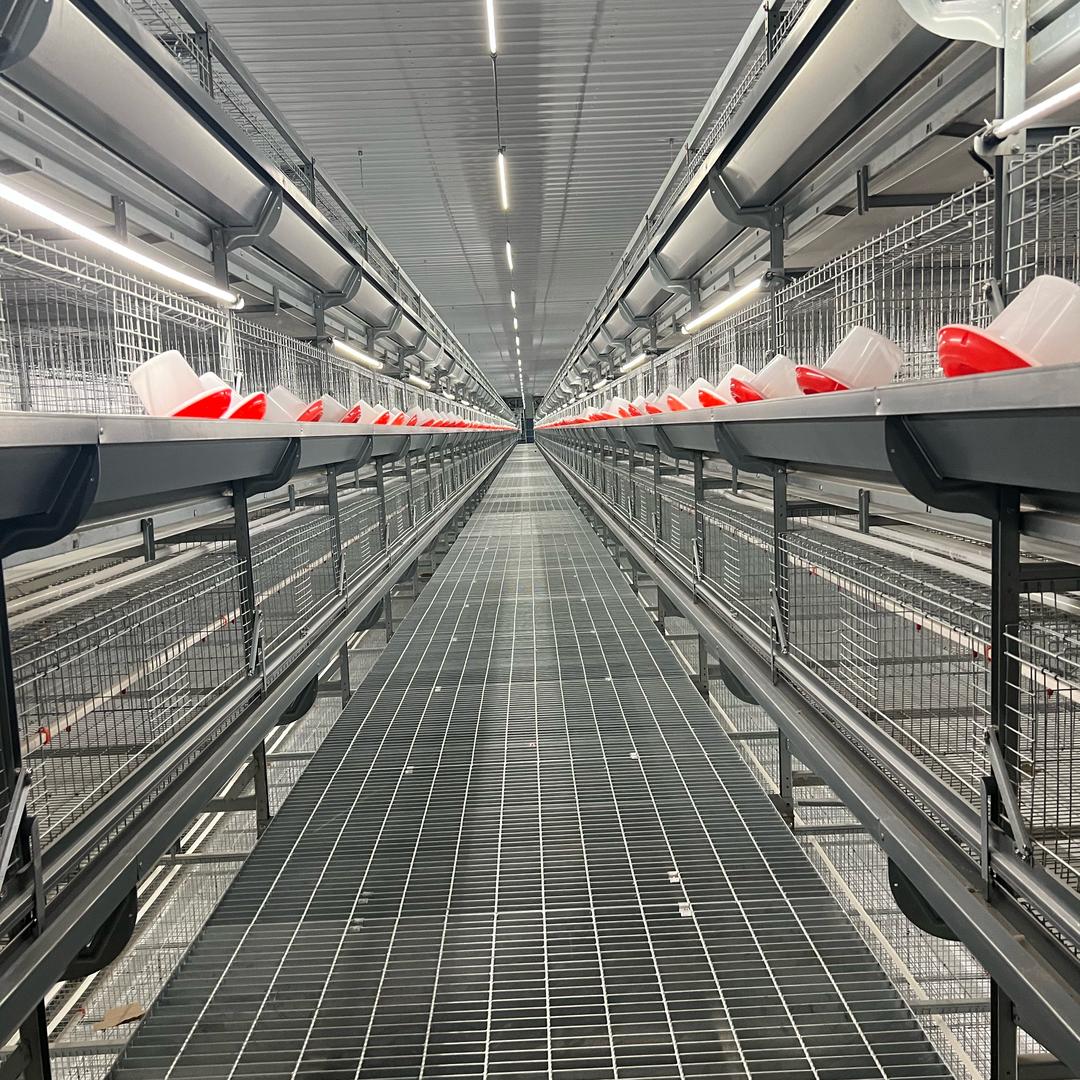 夏津牧聚福禽业