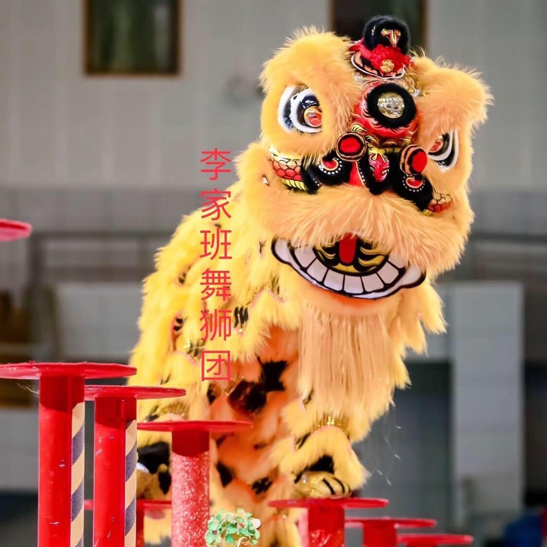 奉节李家班舞狮团（林）