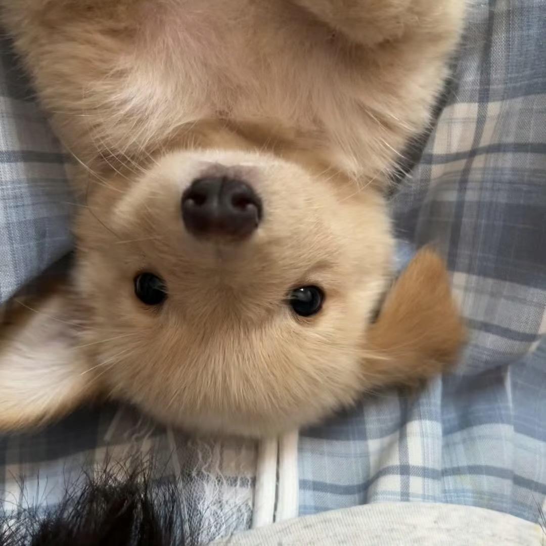 少点呆
