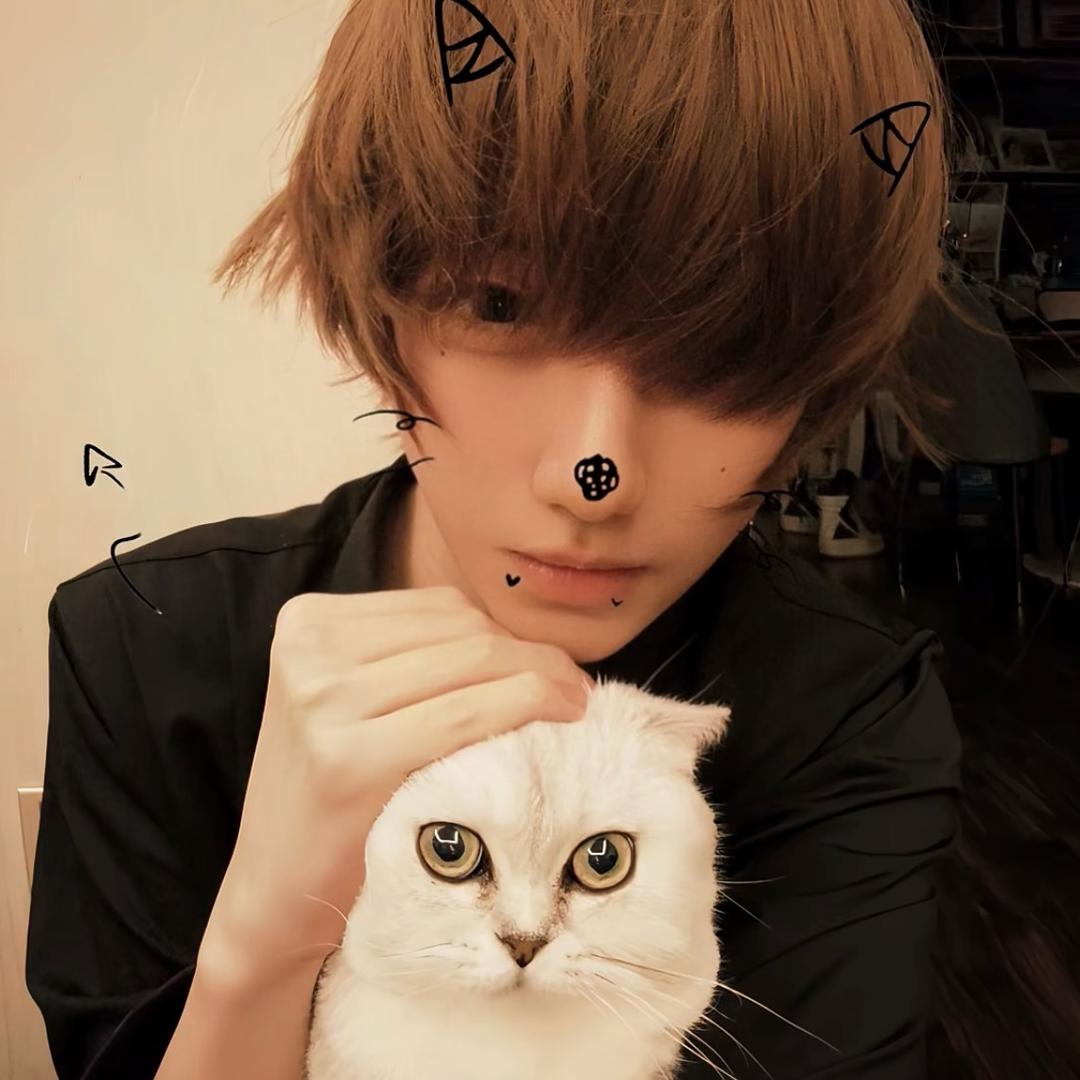 小猫芥末