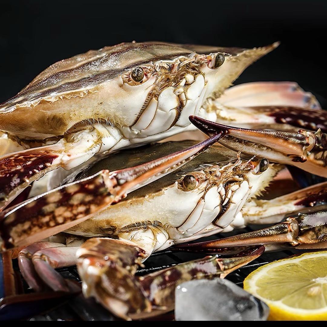 小林仙女🧚‍♀️……