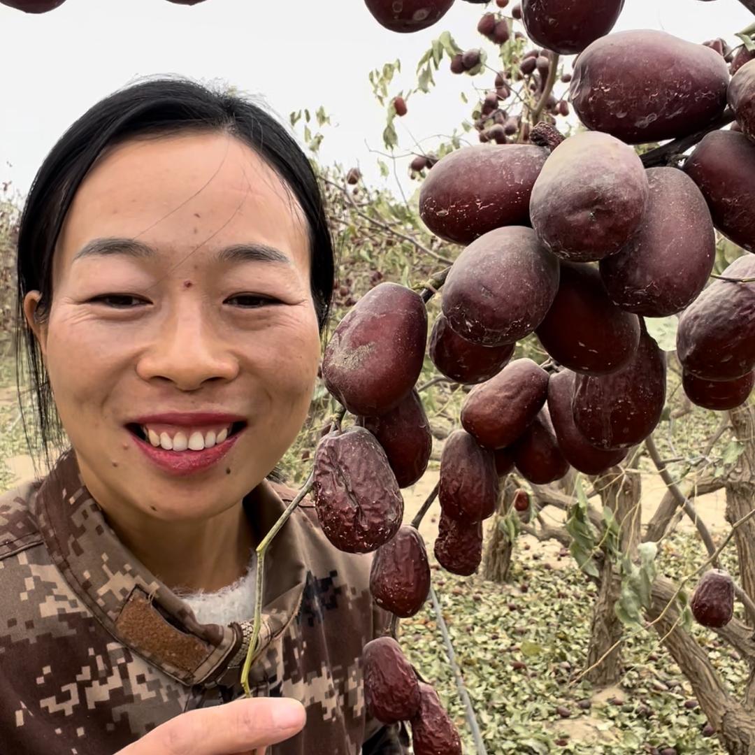 新疆红枣西施（银银）