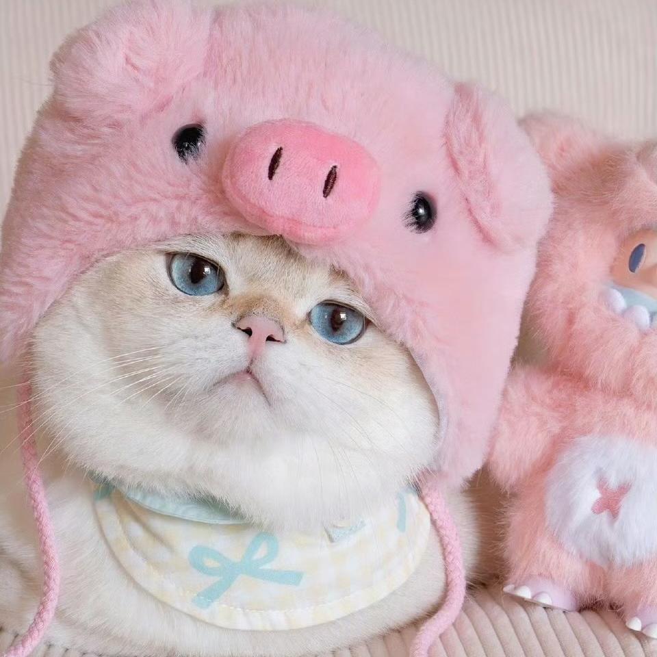 萌澜宠物优品店