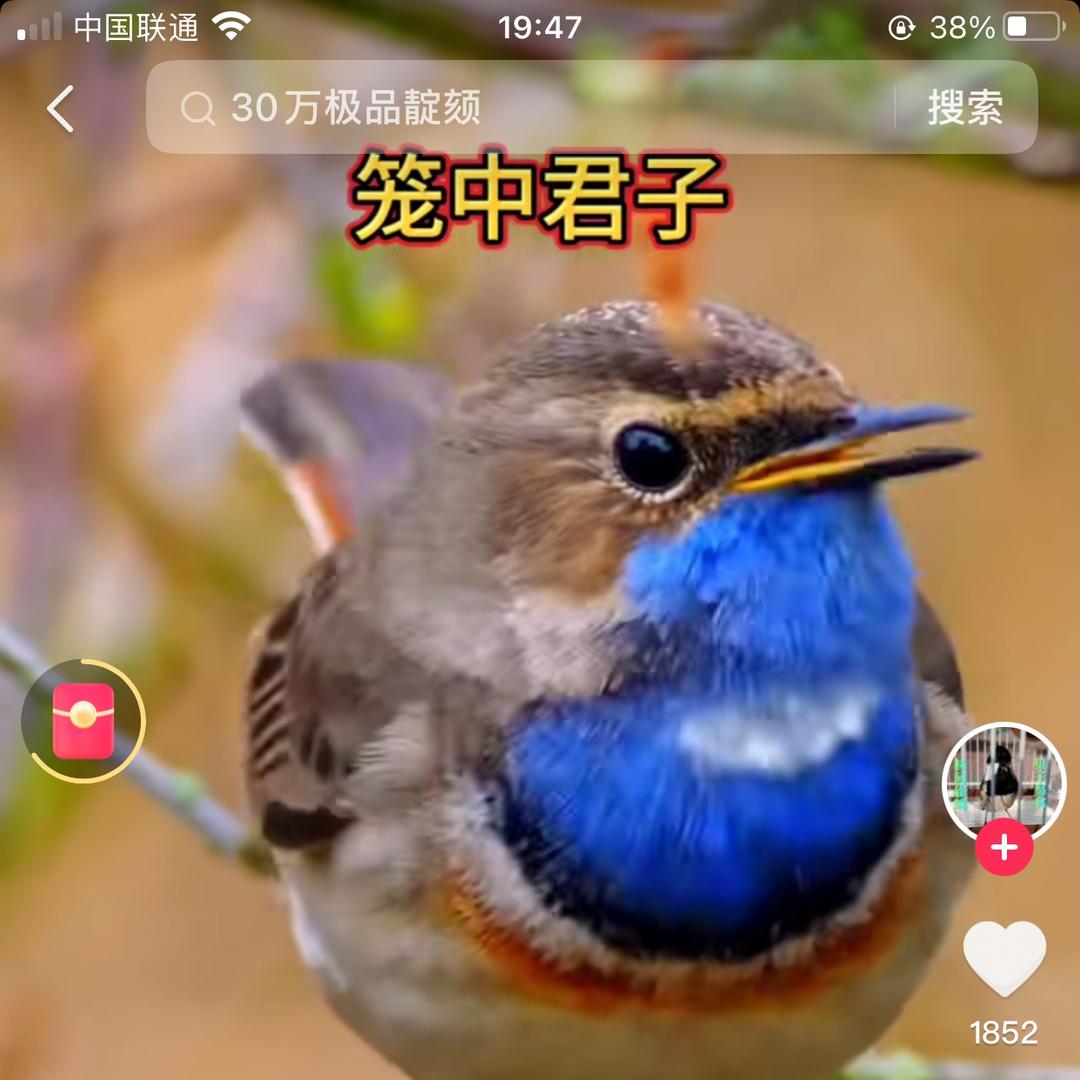 卖钢琴的小十九