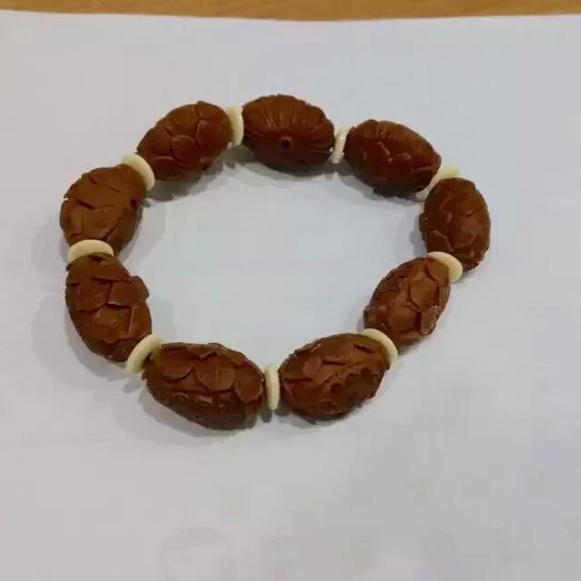 会飞的鱼
