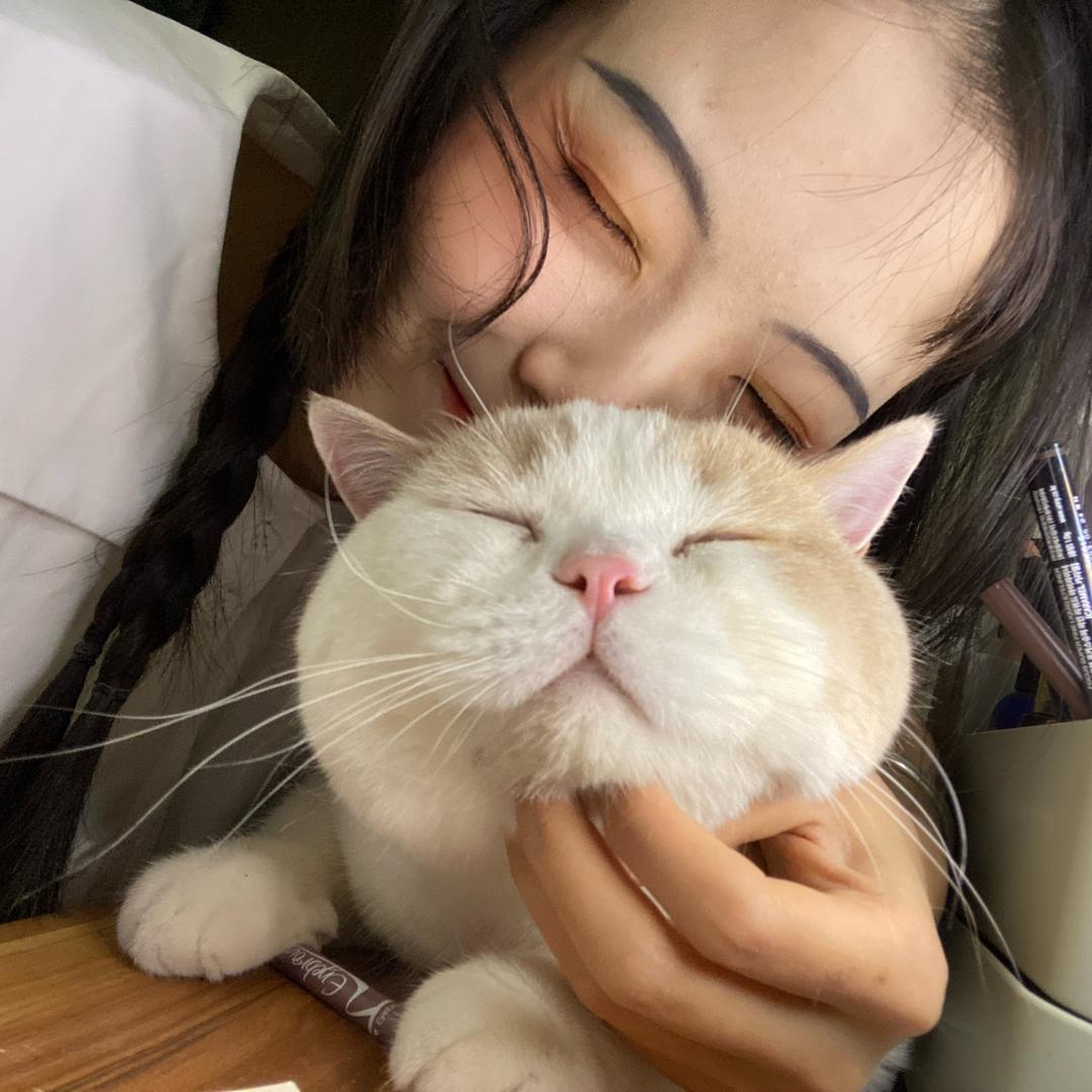 十亿小黄-
