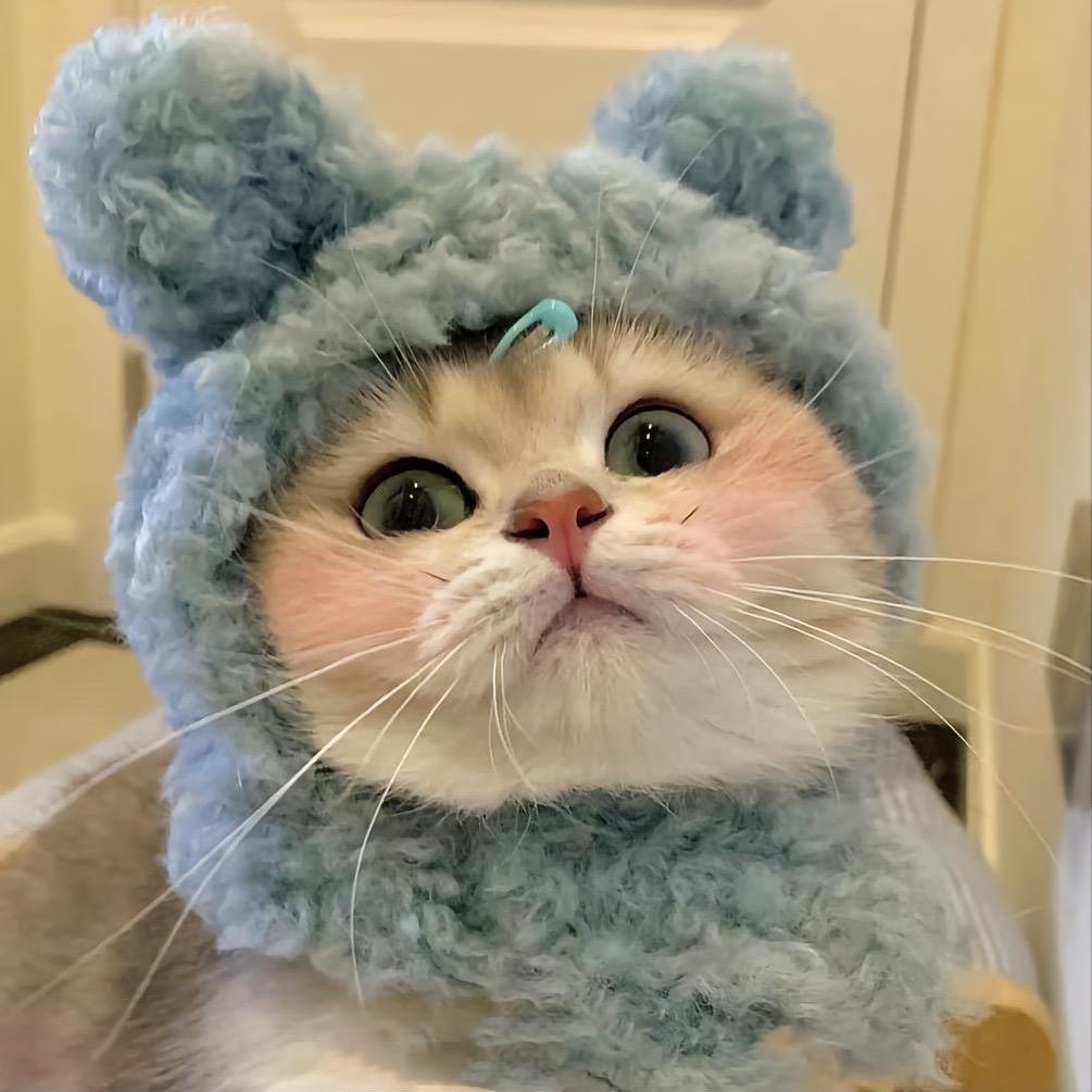 喵汪𝘾𝙡𝙪𝙗