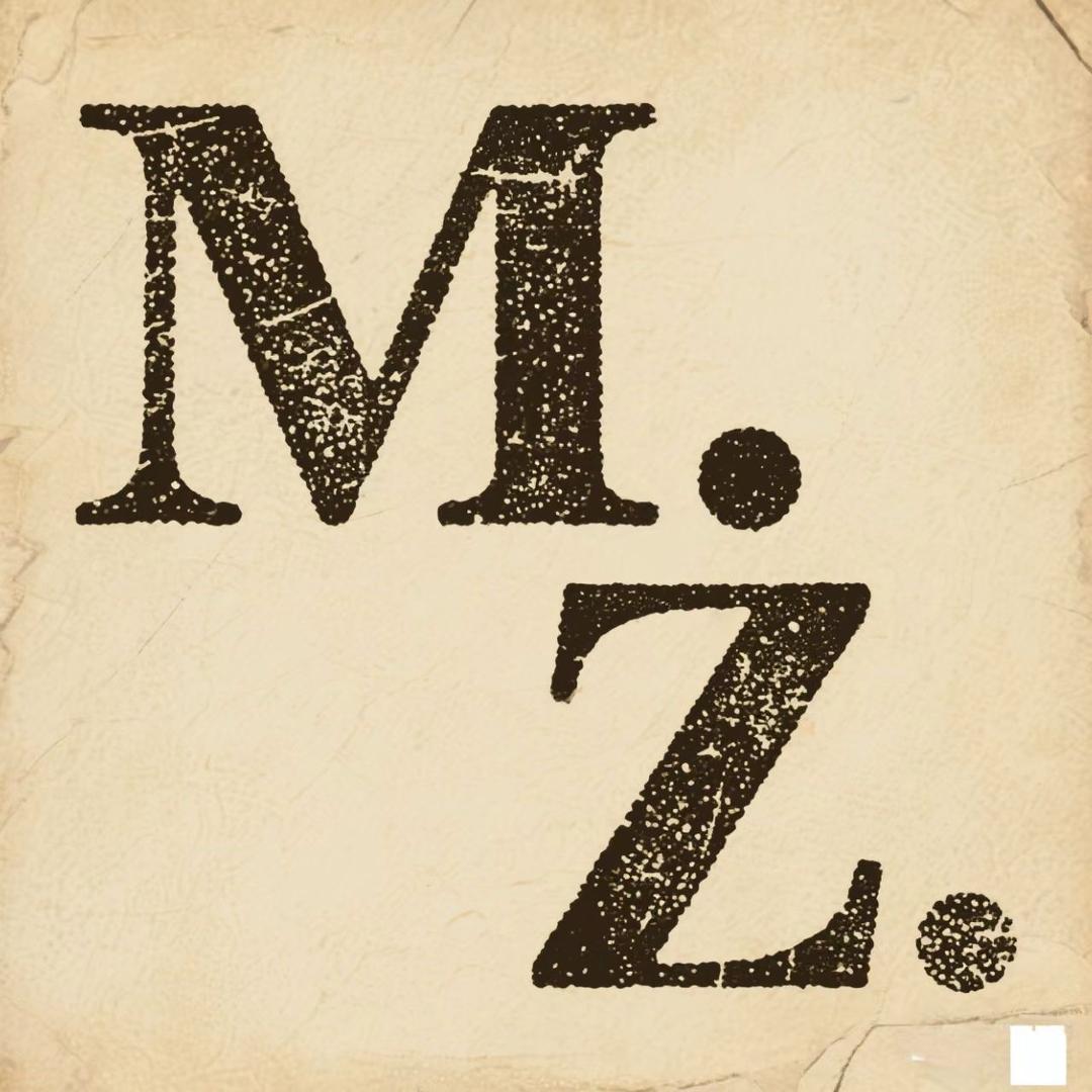 MZ服装小店i