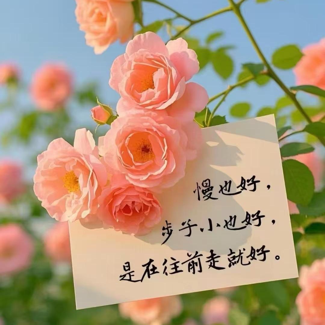 刘老师讲英语