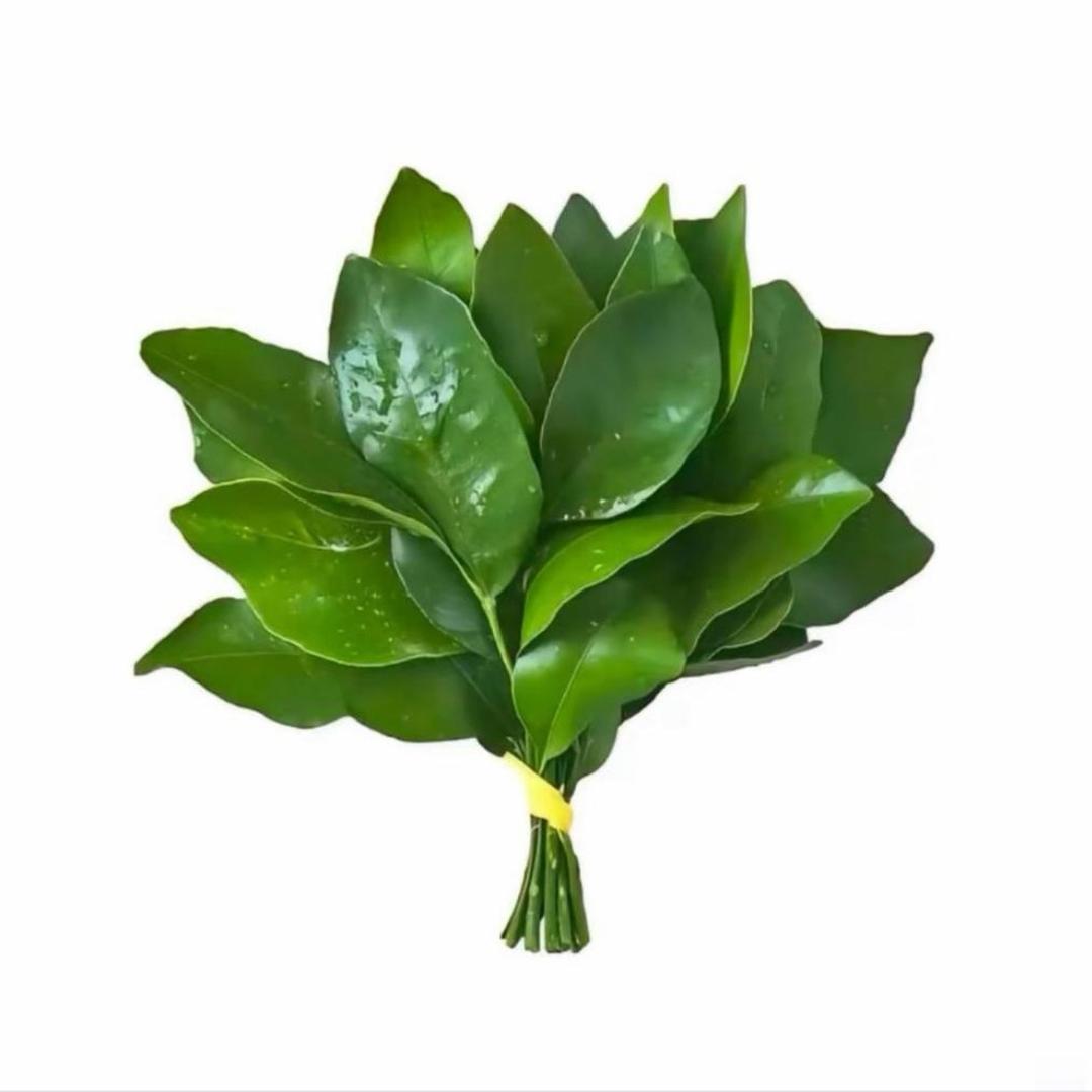 一颗李子.