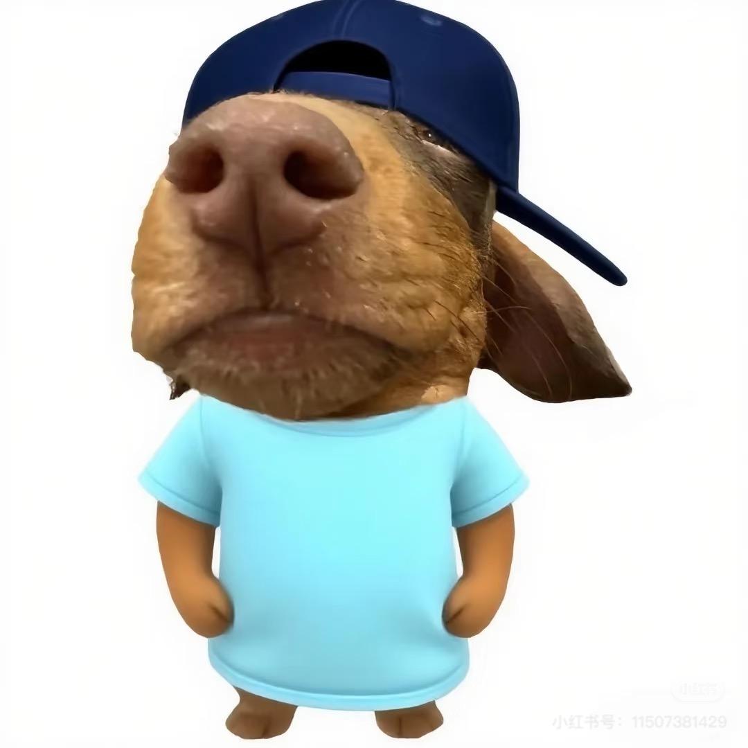 冷酷第一骚男