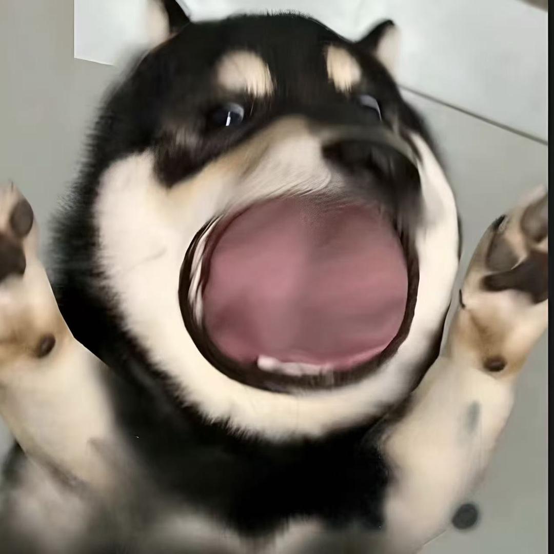 现实。