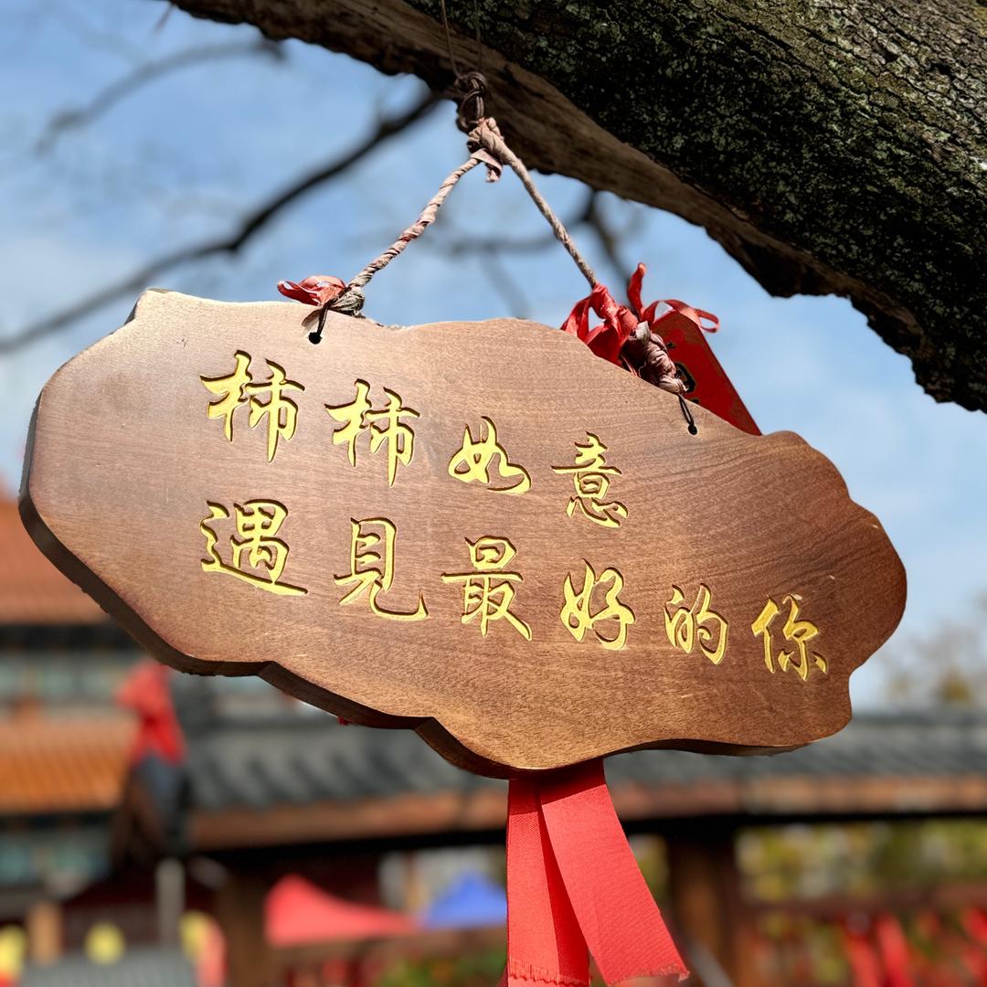 助理领资料