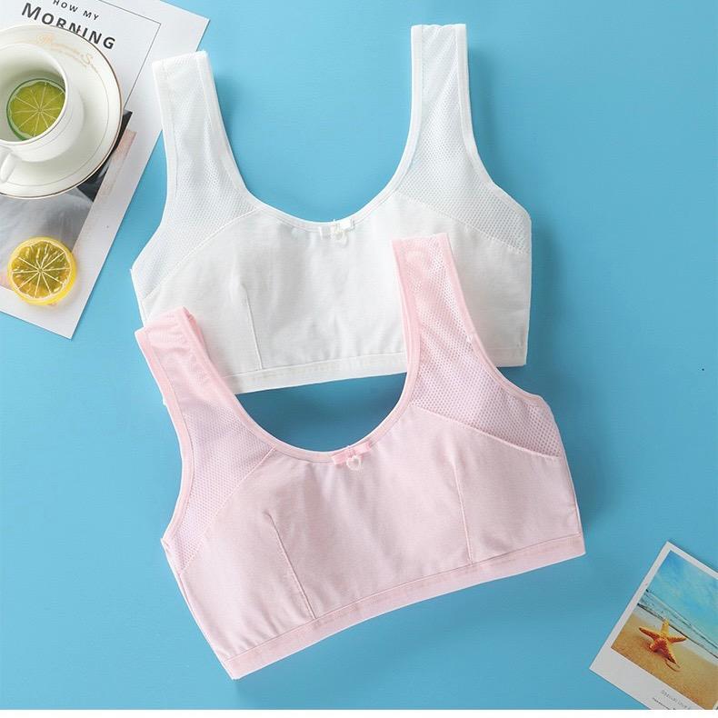 小珊瑚少女内衣店