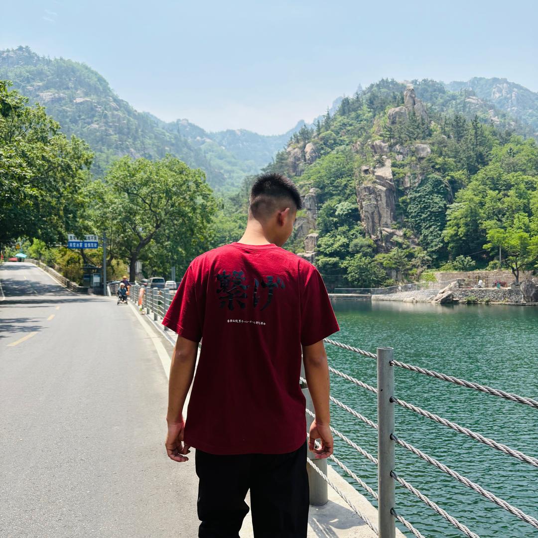 铁板大跳