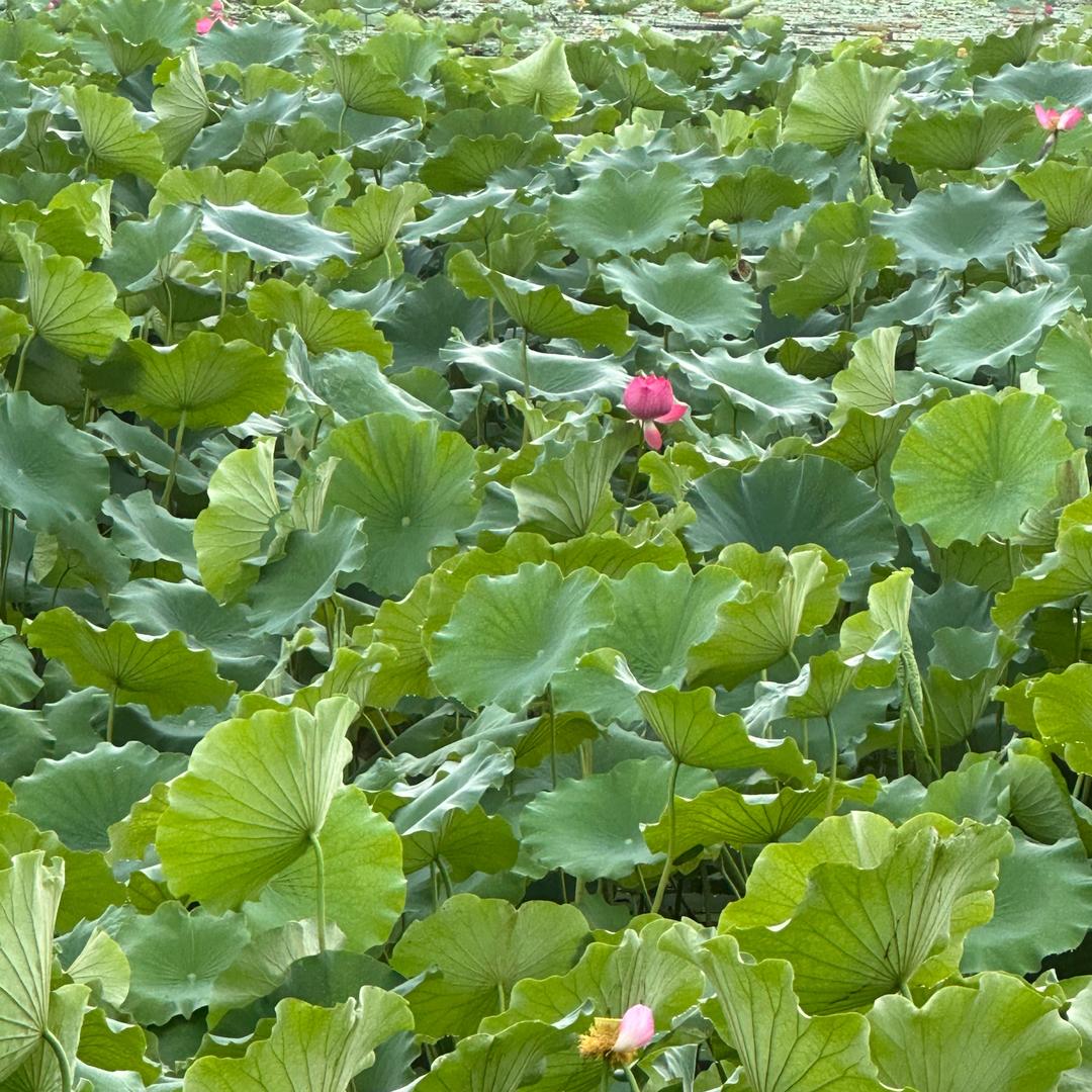我们都很好