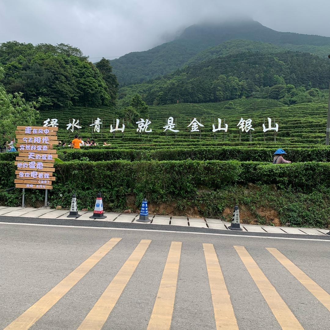 凉茶百道