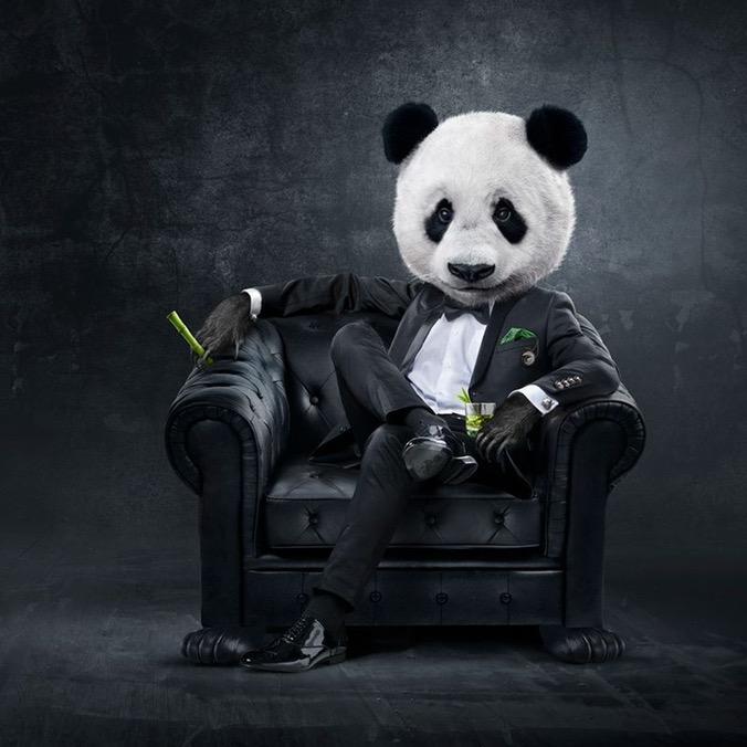 功夫熊猫🐼