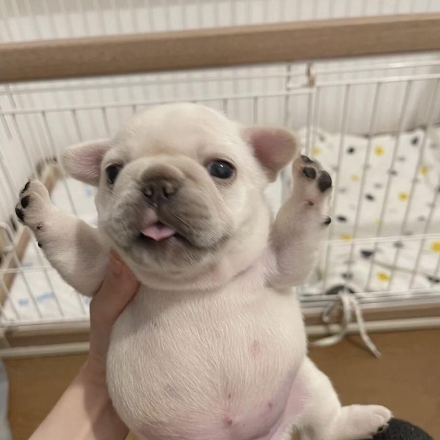 麦乐森零食企业店