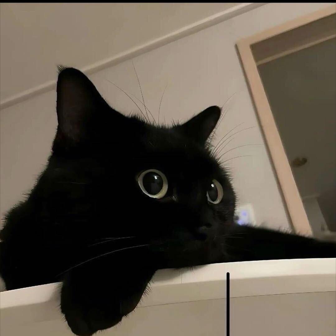 ～