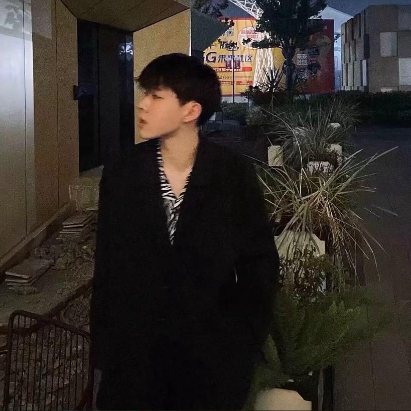 鲨鱼/-