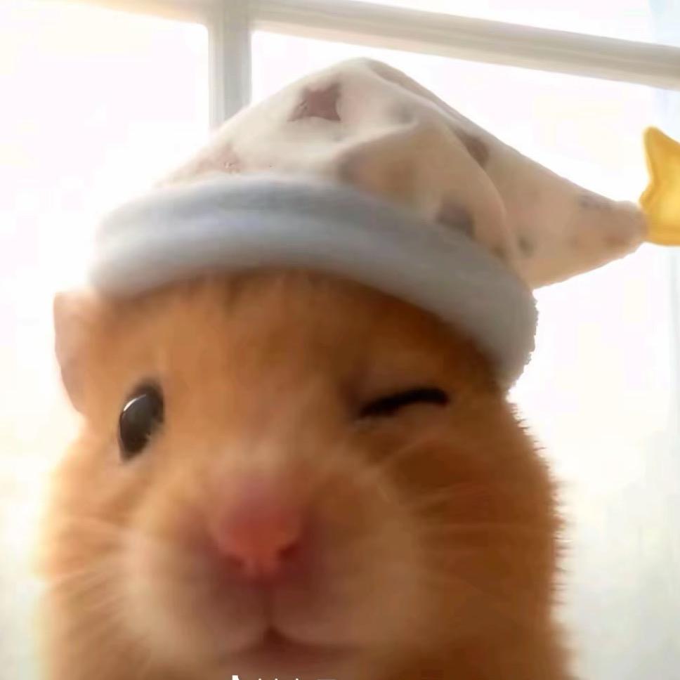 小汤圆ᐝ