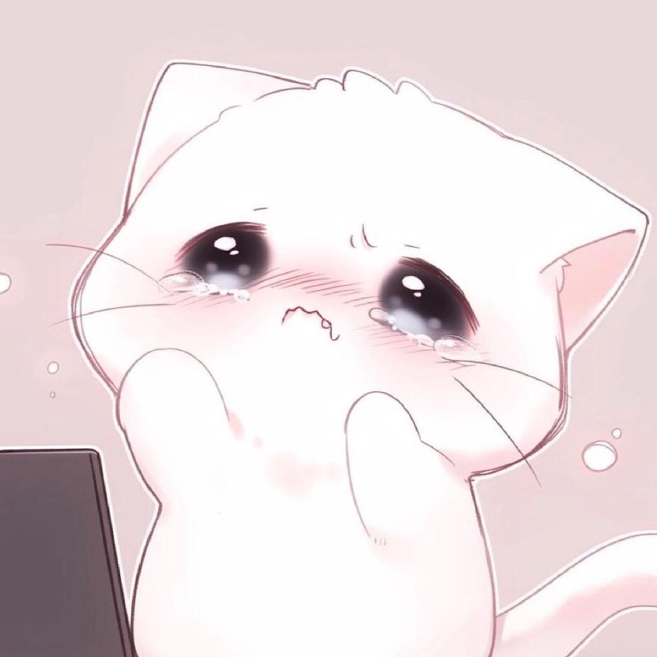 猫meme小小故事