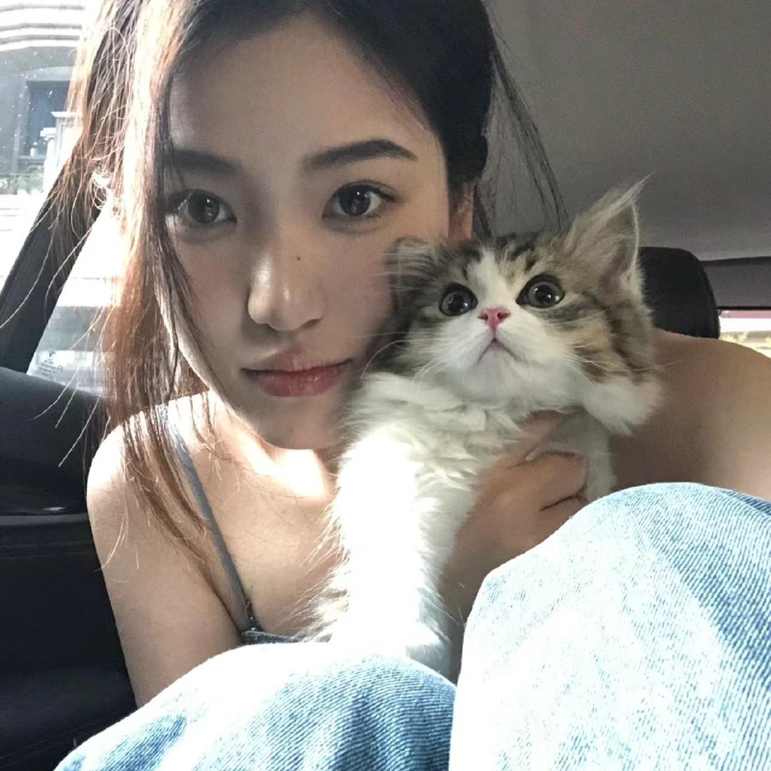 提拉米苏🍭