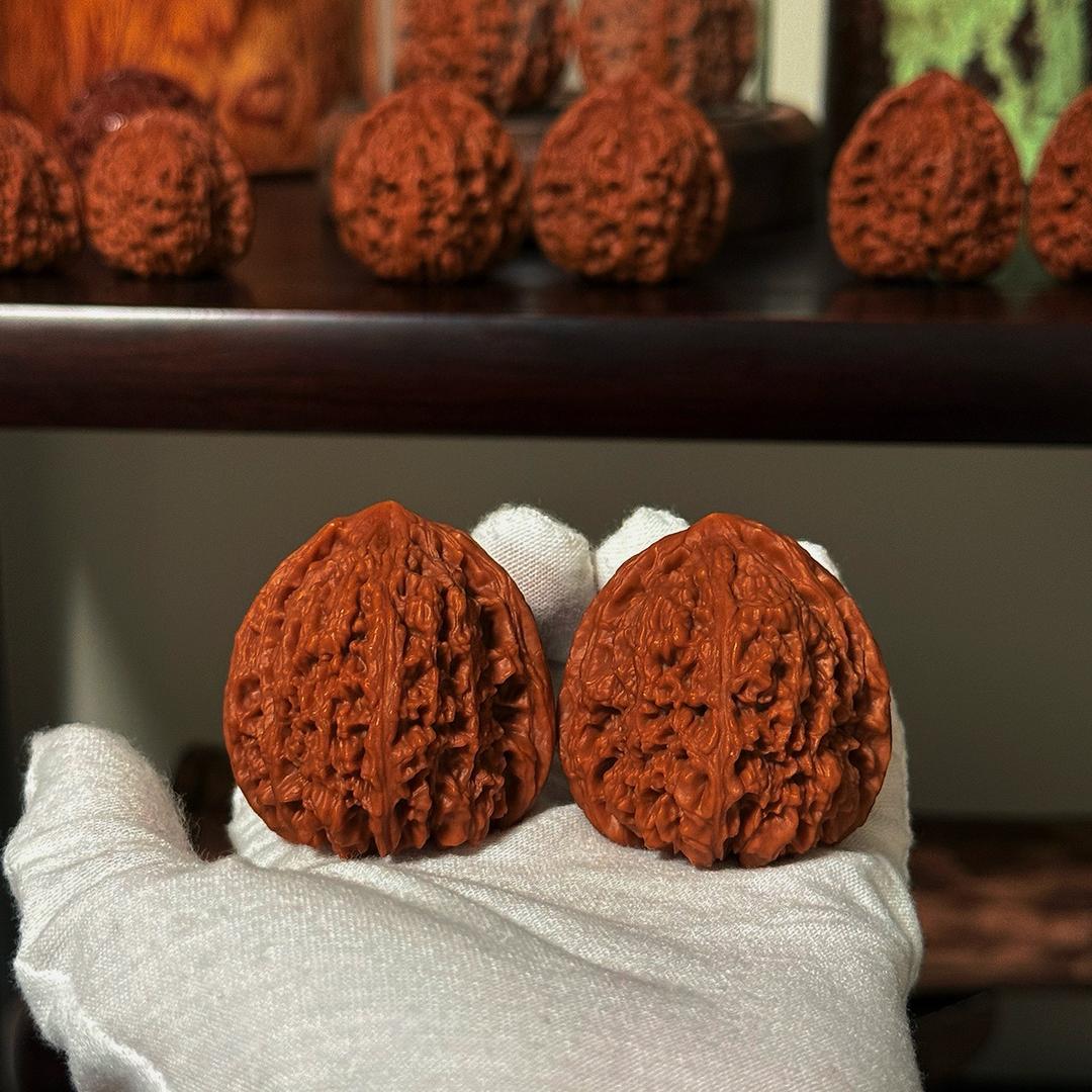 大头鱼的鳄龜&南疆石