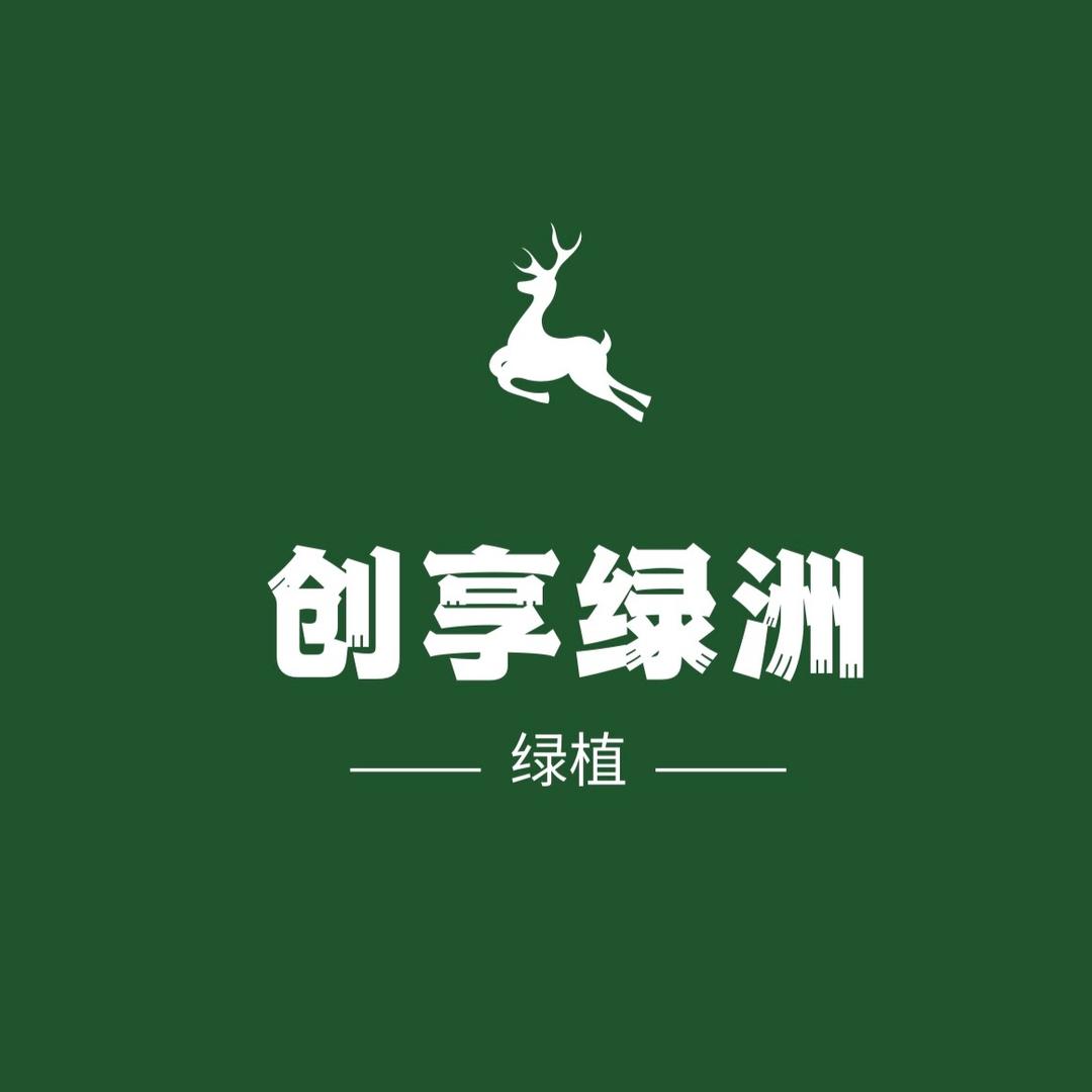 创享绿洲官方旗舰店