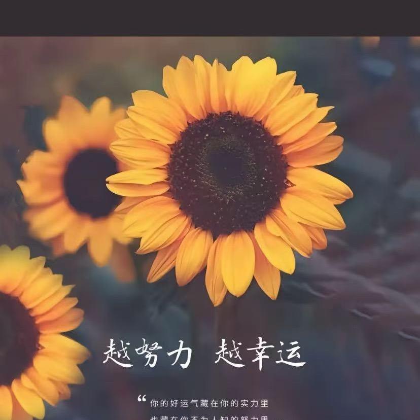 @（广义广告图文）范同学