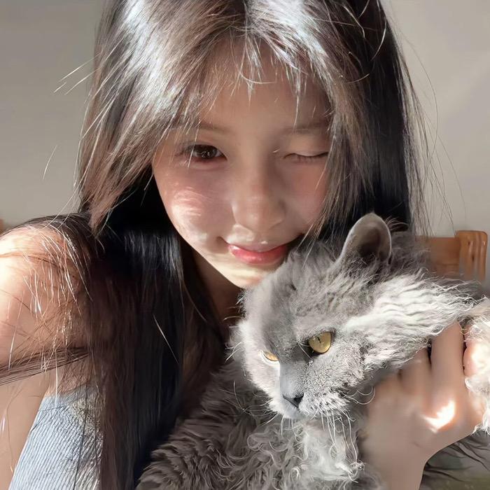 元气少女猪刚鬣